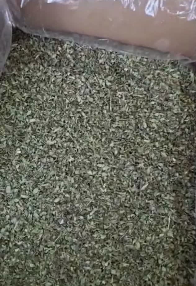 تصویر 4 از قیمت ویژه آویشن شیرازی برگ صادراتی + فرصتی طلایی برای بازرگانان