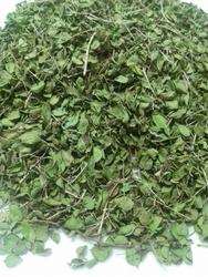 خرید عمده آویشن شیرازی برگ با کیفیت ممتاز صادراتی