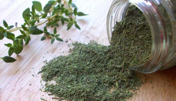 تصویر 2 از خرید عمده آویشن شیرازی برگ با کیفیت ممتاز صادراتی