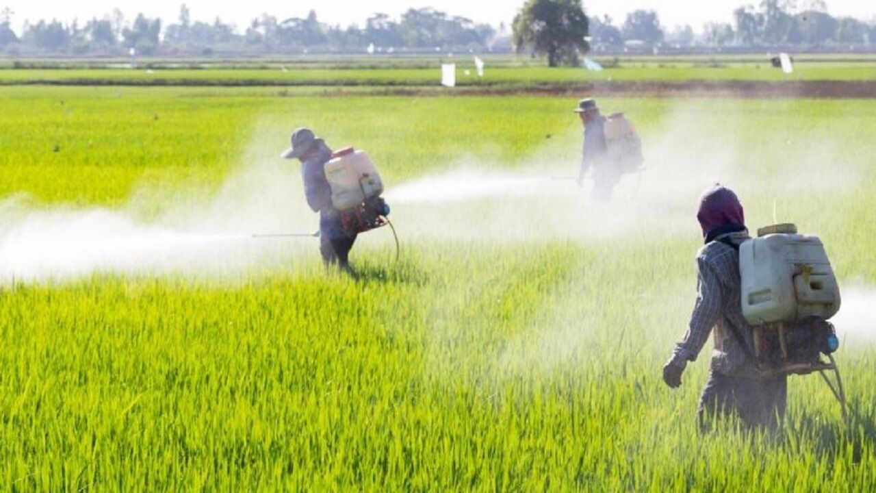 قیمت سمپاش دوشی