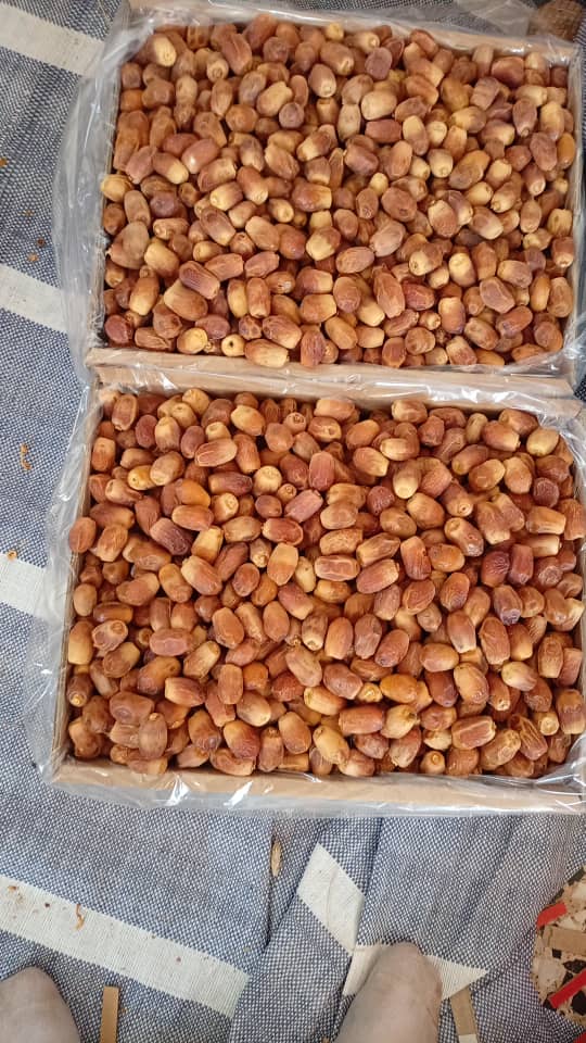 تصویر 2 از خرما زاهدی