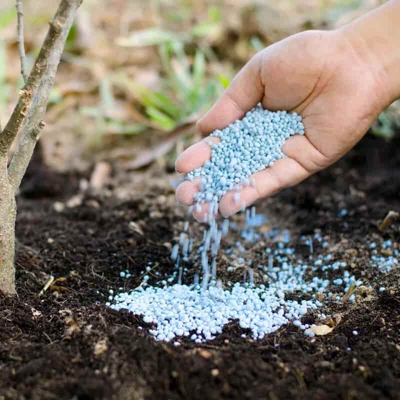 تصویر 1 از قیمت خرید کود ارگانیک کشاورزی + فروش ویژه