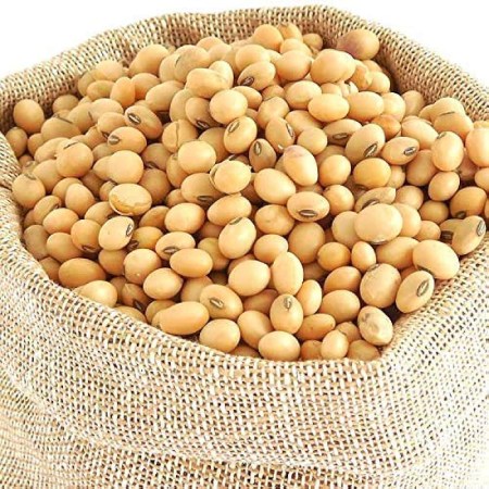 تصویر 1 از دانه سویا + قیمت مناسب