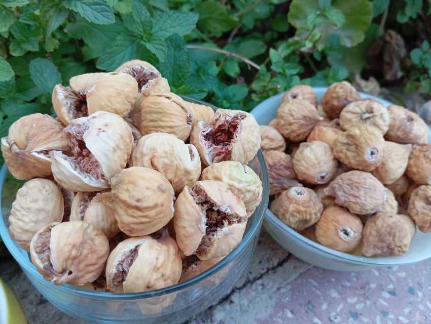 تصویر 1 از فروش ویژه انجیر خشک استهبان دست چین با تخفیف عمده