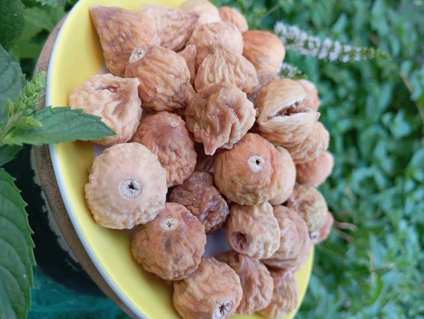 تصویر 1 از خرید انجیر خشک استهبان با تخفیف ویژه