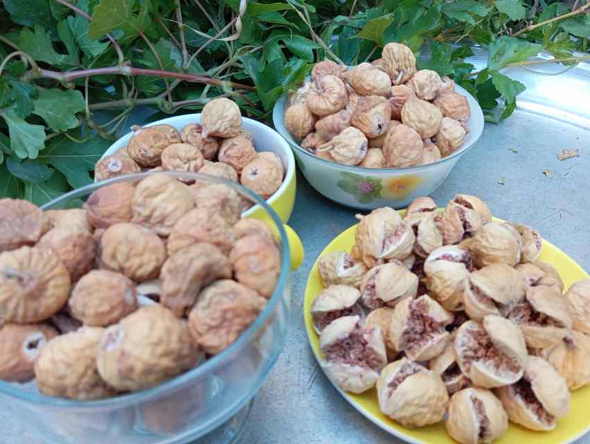 تصویر 4 از خرید انجیر خشک استهبان با تخفیف ویژه
