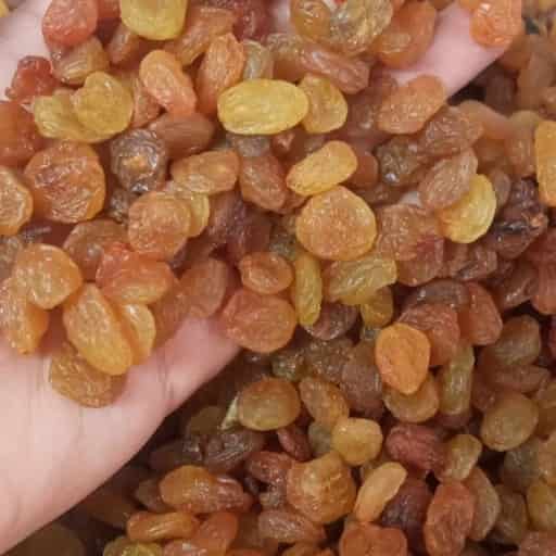 تصویر 1 از بهترین کشمش پلویی  + قیمت خرید عالی