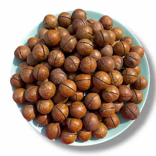تصویر 2 از قیمت خرید فندق استرالیایی  + فروش ویژه