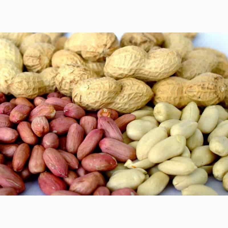تصویر 4 از خرید بادام کیلویی + قیمت فروش استثنایی