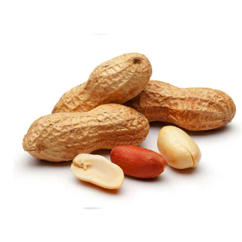 تصویر 1 از خرید بادام کیلویی + قیمت فروش استثنایی