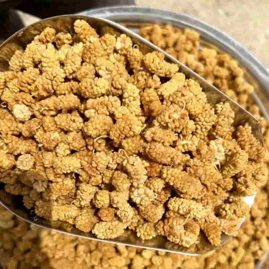 تصویر 2 از قیمت خرید توت خشک اعلا عمده به صرفه و ارزان