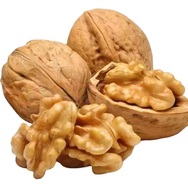 تصویر 4 از خرید و قیمت گردو پوست کاغذی + فروش عمده