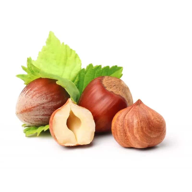 تصویر 3 از قیمت مغز فندق بوداده + خرید باور نکردنی