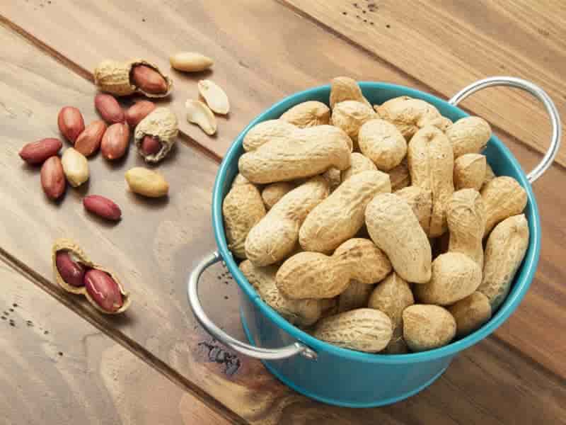 تصویر 2 از قیمت روز بادام زمینی کوهی