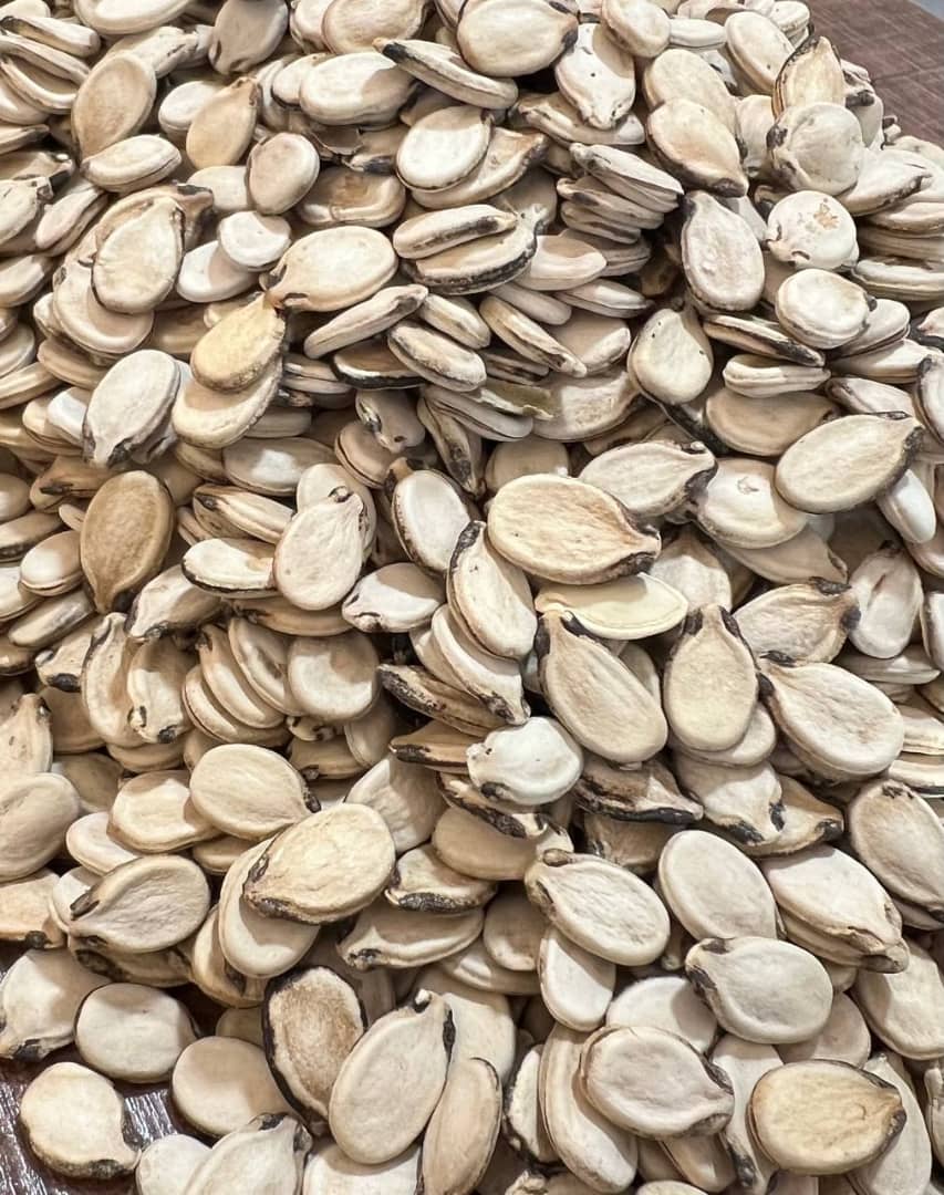 تصویر 1 از قیمت انواع تخمک هندوانه در ایران