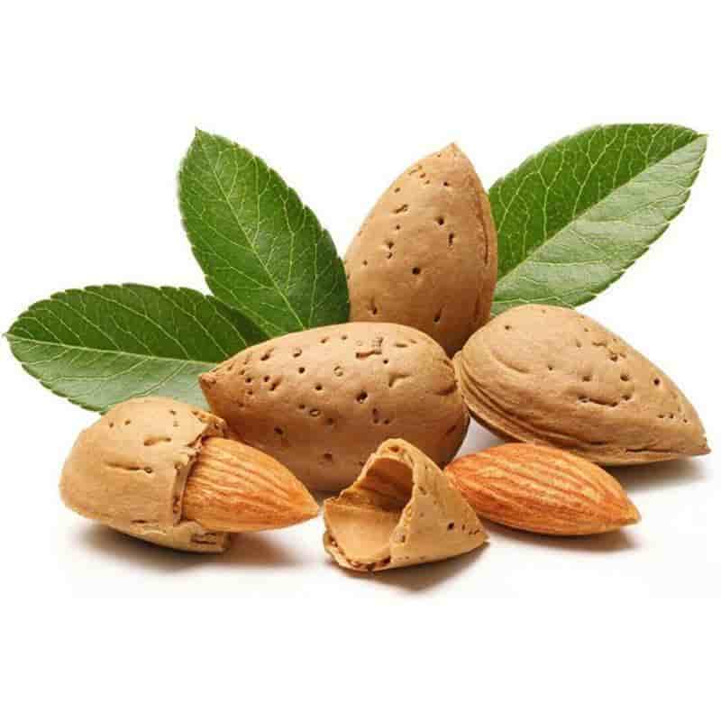 تصویر 1 از قیمت خرید بادام درختی شور عمده به صرفه و ارزان
