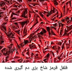 تصویر 1 از فروش عمده فلفل قرمز صادراتی محصولی اقتصادی و پر کاربرد