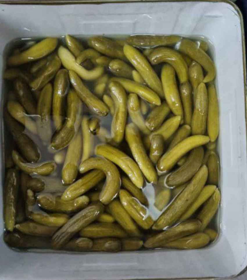 خیارشور حلب سوپر ویژه + قیمت