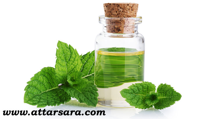 تصویر 1 از عرق نعنای دو آتشه + فروش عالی
