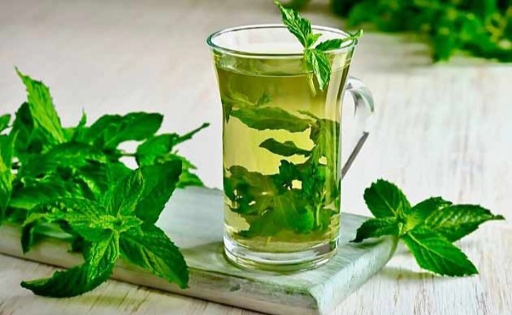 تصویر 4 از عرق نعنای ویژه + نازلترین قیمت