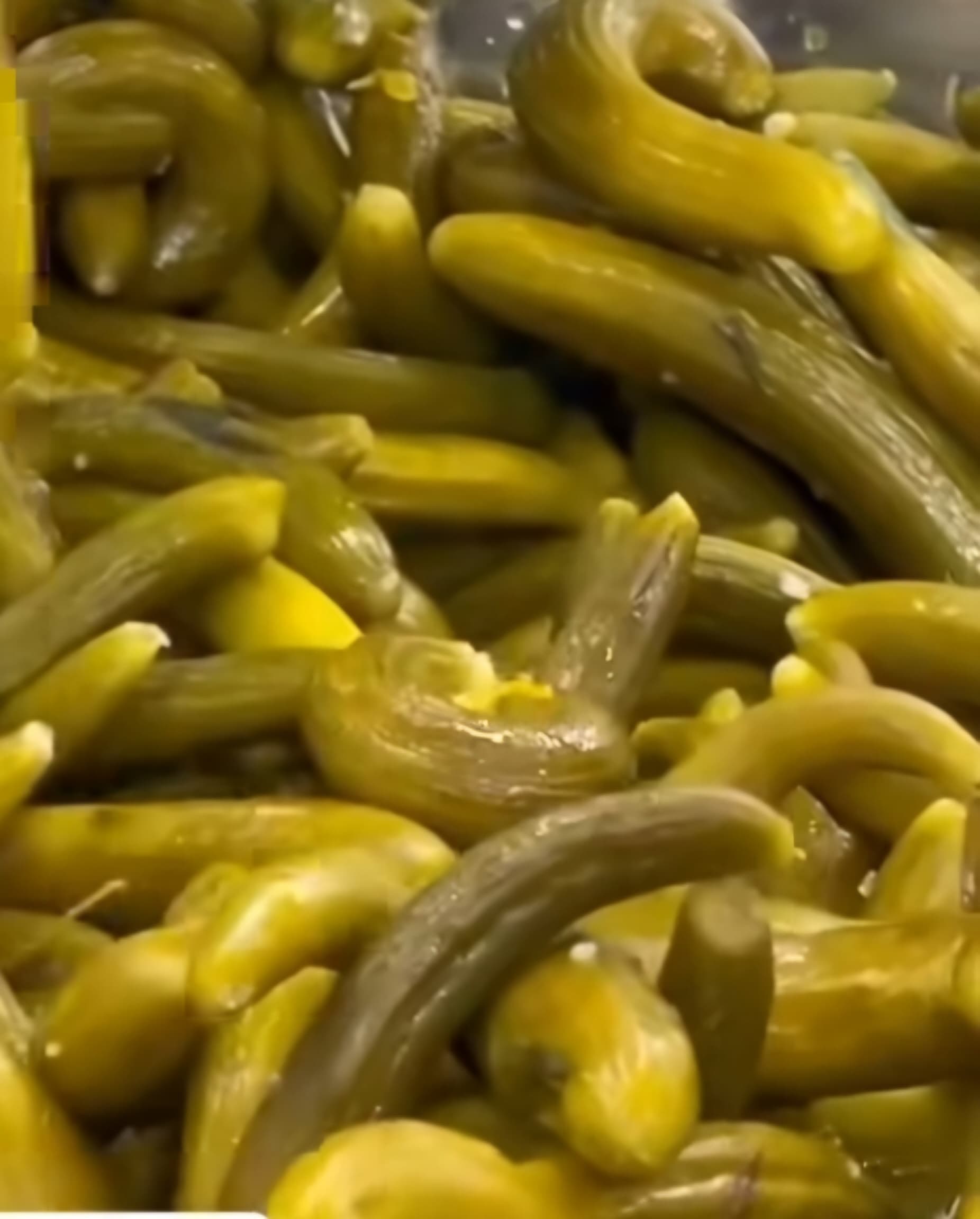 خرید و فروش اقتصادی خیارشور شیروان و همدان