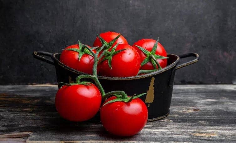 تصویر 6 از پر فروش ترین رب گوجه فرنگی پنج کیلویی در ایران
