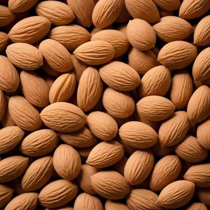 تصویر 1 از قیمت بادام ربیعی با کیفیت ارزان + خرید عمده
