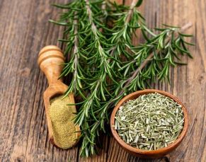 خرید و فروش عمده رزماری صادراتی گیاهی معطر و پر تقاضا