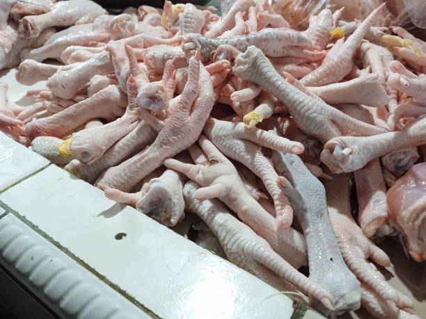 تصویر 2 از قیمت پای مرغ صادراتی با کیفیت ارزان + خرید عمده
