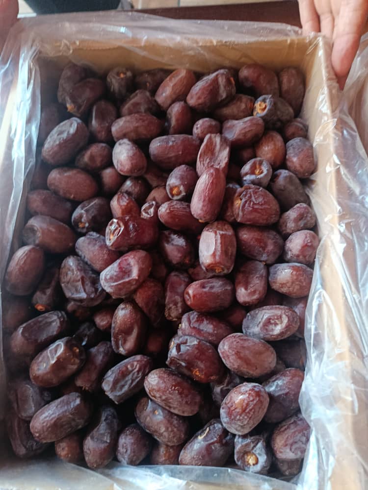 تصویر 1 از فروش خرمای کلوته بسته بندی رودبار + کیفیت صادراتی