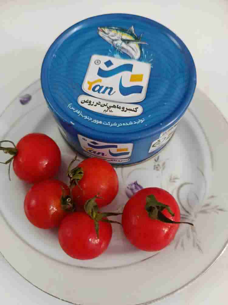 تصویر 3 از خرید و فروش کنسرو ماهی هوور ۱۸۰ گرمی + قیمت بسیار مناسب و متنوع