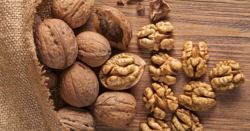 تصویر 2 از قیمت گردو + خرید باور نکردنی