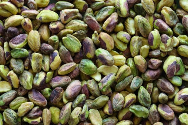 تصویر 5 از خرید و قیمت پسته کوهی تازه + فروش عمده