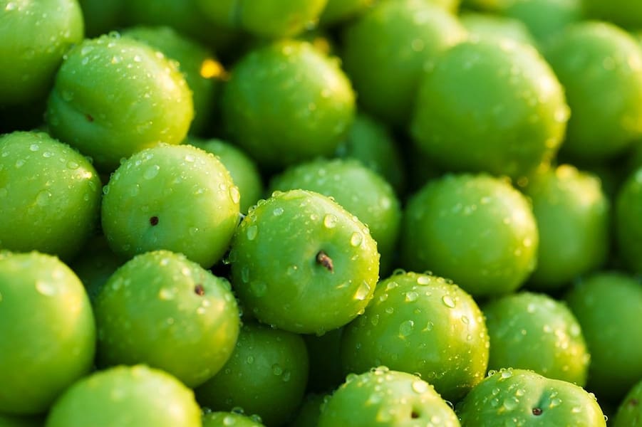 خرید و قیمت گوجه سبز رسیده + فروش صادراتی