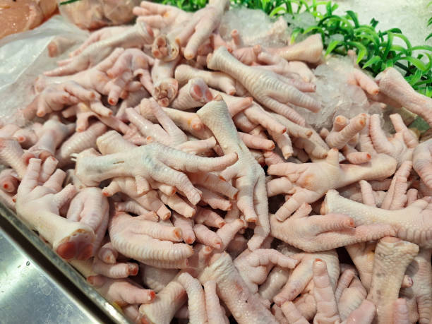 تصویر 3 از خرید پای مرغ گوشتی + قیمت فروش استثنایی