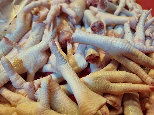 تصویر 4 از خرید پای مرغ گوشتی + قیمت فروش استثنایی