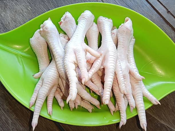 تصویر 5 از خرید پای مرغ گوشتی + قیمت فروش استثنایی