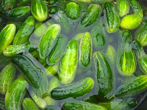 تصویر 3 از خرید و قیمت خیارشور شیشه ای بزرگ  + فروش عمده