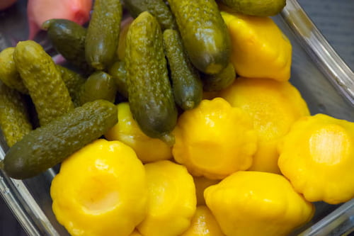 تصویر 3 از قیمت خرید خیارشور ارگانیک + فروش ویژه