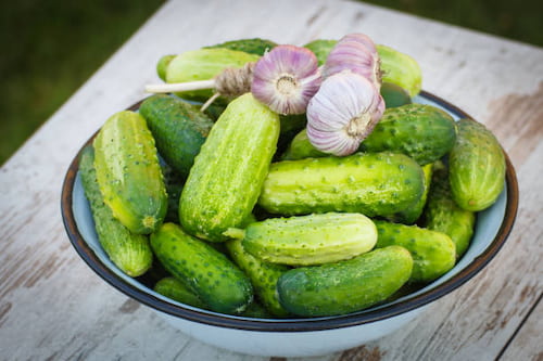 تصویر 5 از قیمت خرید خیارشور ارگانیک + فروش ویژه