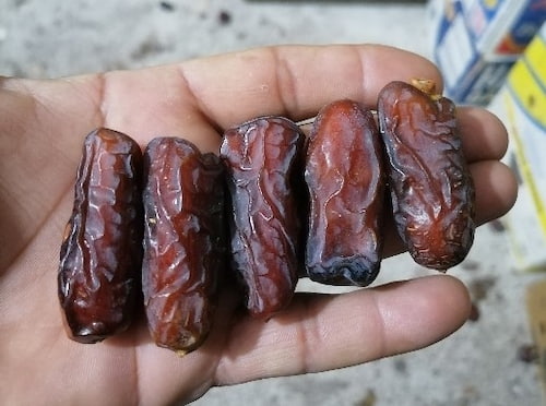 تصویر 3 از قیمت خرید خرما پیارم درشت عمده به صرفه و ارزان