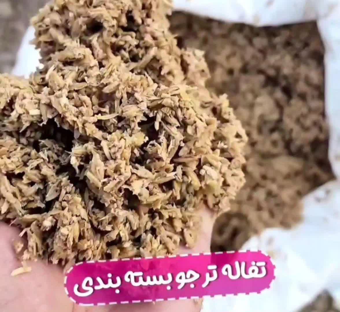 تصویر 3 از قیمت تفاله جو قائمشهر