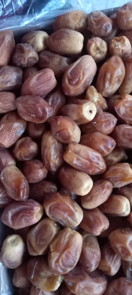 تصویر 7 از فروش فوری خرمای زاهدی قصب قیمت استثنایی