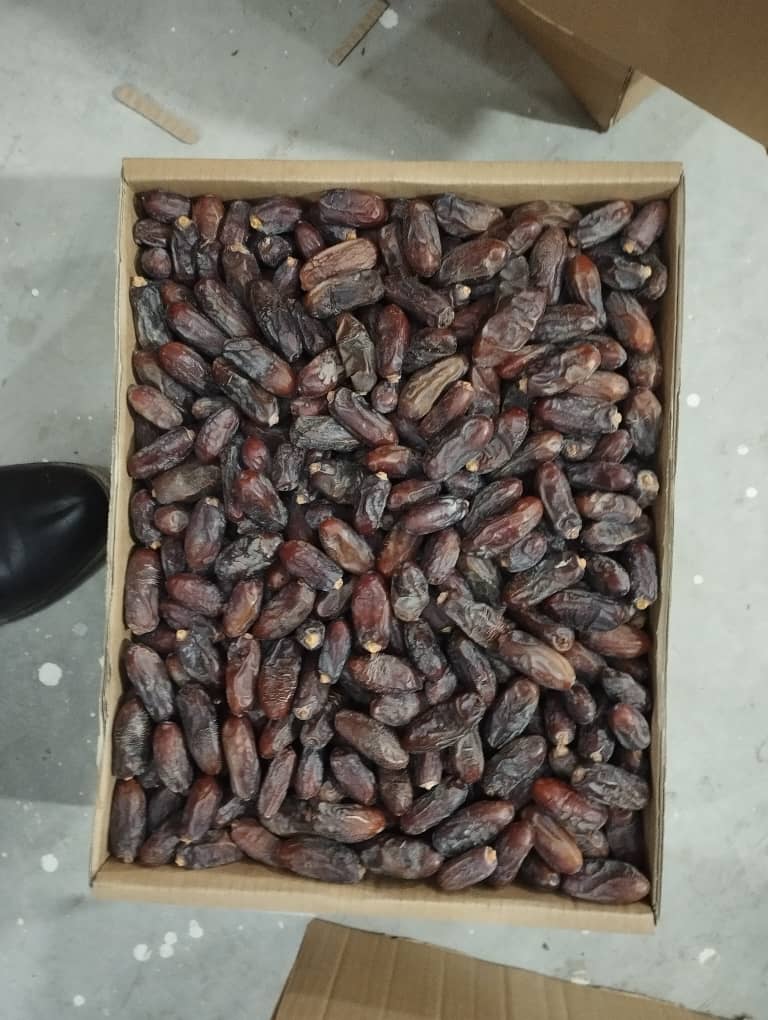 تصویر 6 از فروش ویژه خرمای ربی سیستان و بلوچستان + قیمت مناسب