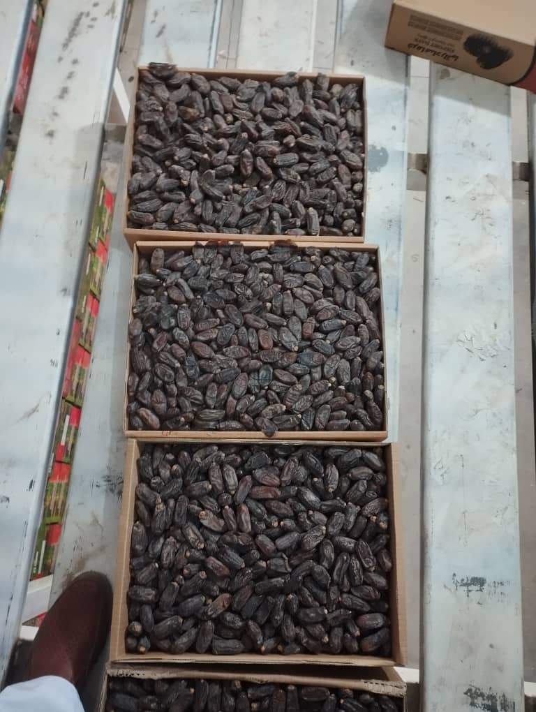 تصویر 3 از فروش ویژه خرمای ربی سیستان و بلوچستان + قیمت مناسب
