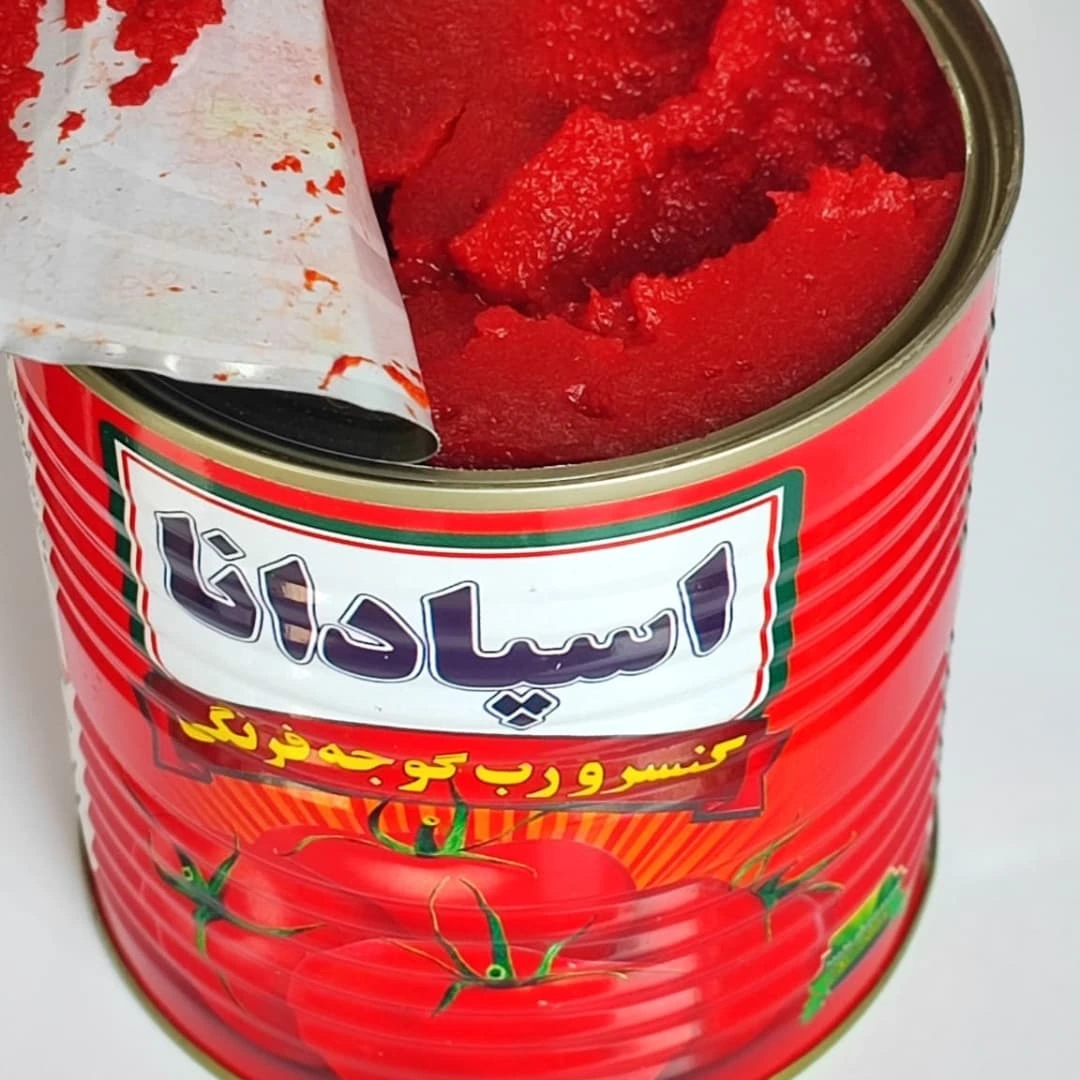 تصویر 4 از قیمت خرید عمده رب گوجه فرنگی اسپادانا ۸۰۰ گرم