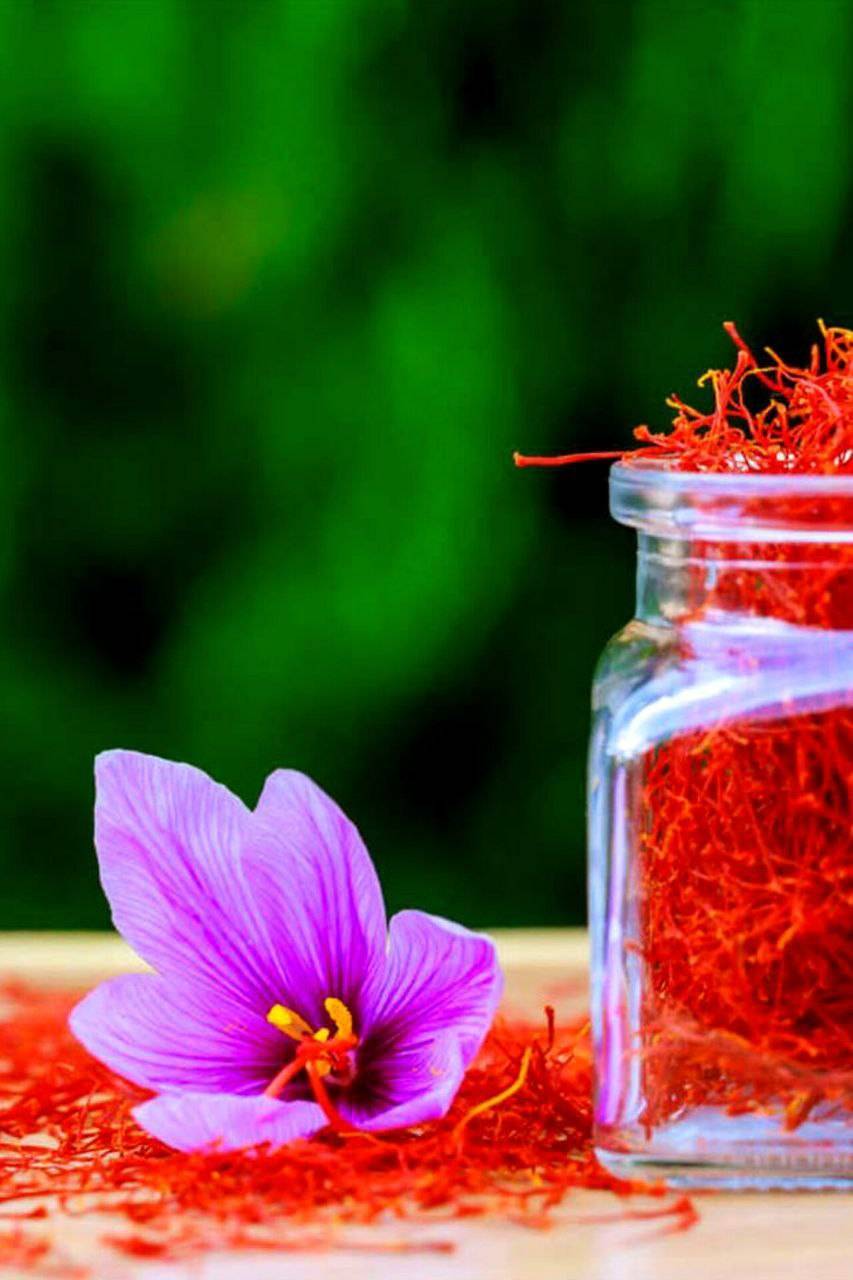 تصویر 2 از فروش زعفران نگین صادراتی یک مثقالی + کیفیت تضمینی
