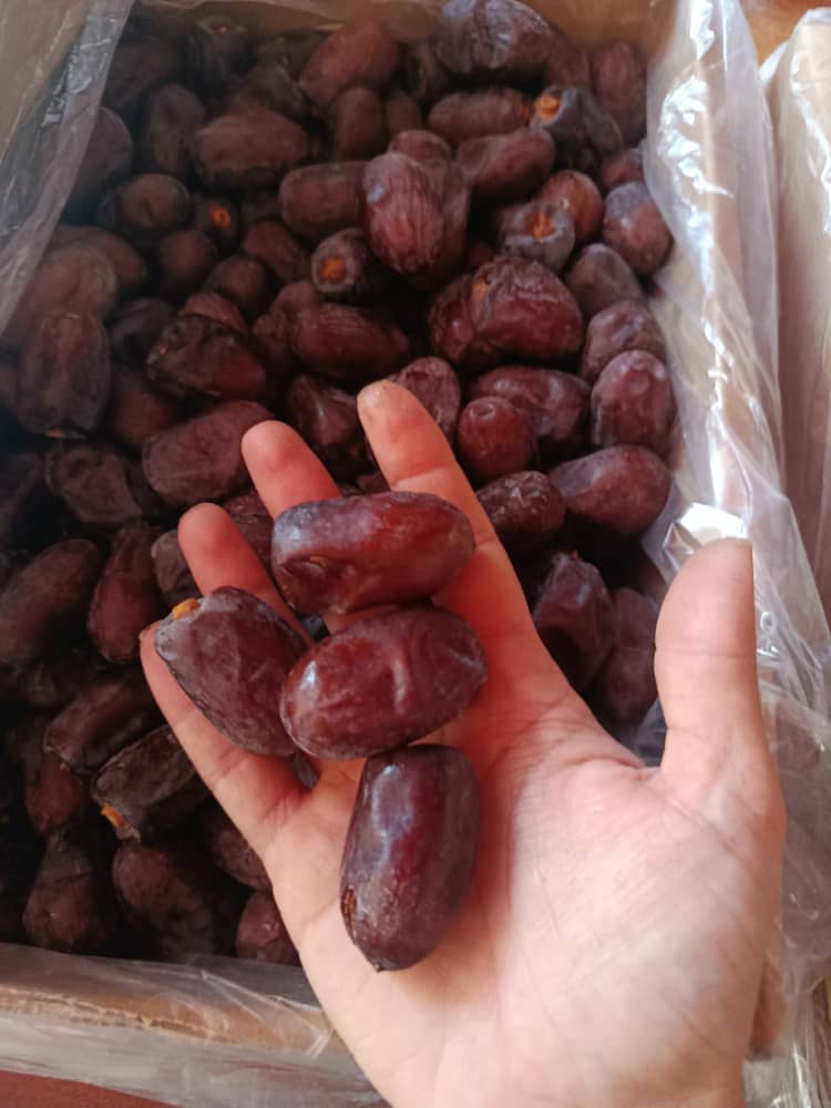 صادرات خرمای کلوته لوکس جیرفت + کیفیت صادراتی