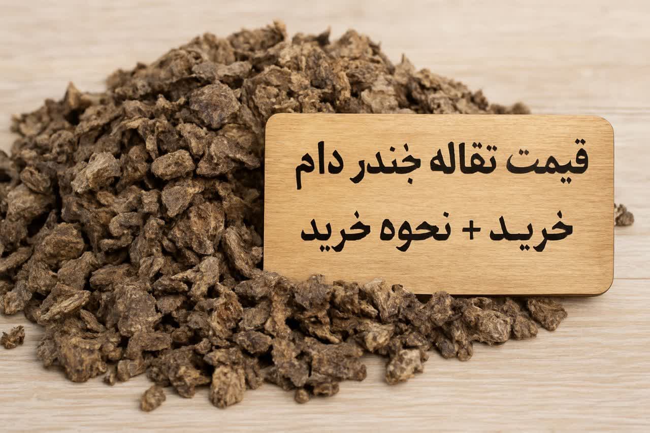 تصویر 2 از تفاله خشک چغندر ارزان