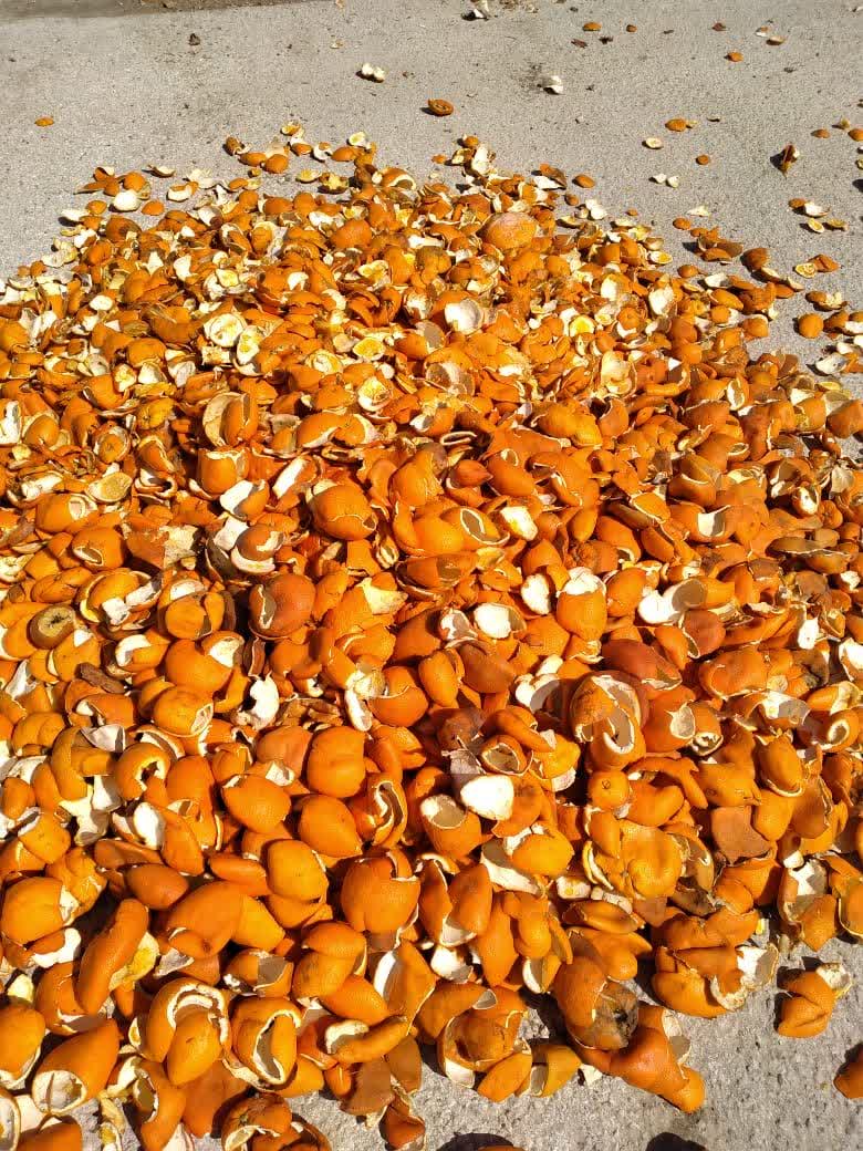 تصویر 1 از سفارش اینترنتی تفاله پرتقال